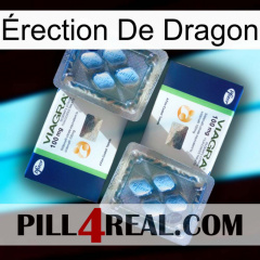 Érection De Dragon viagra5